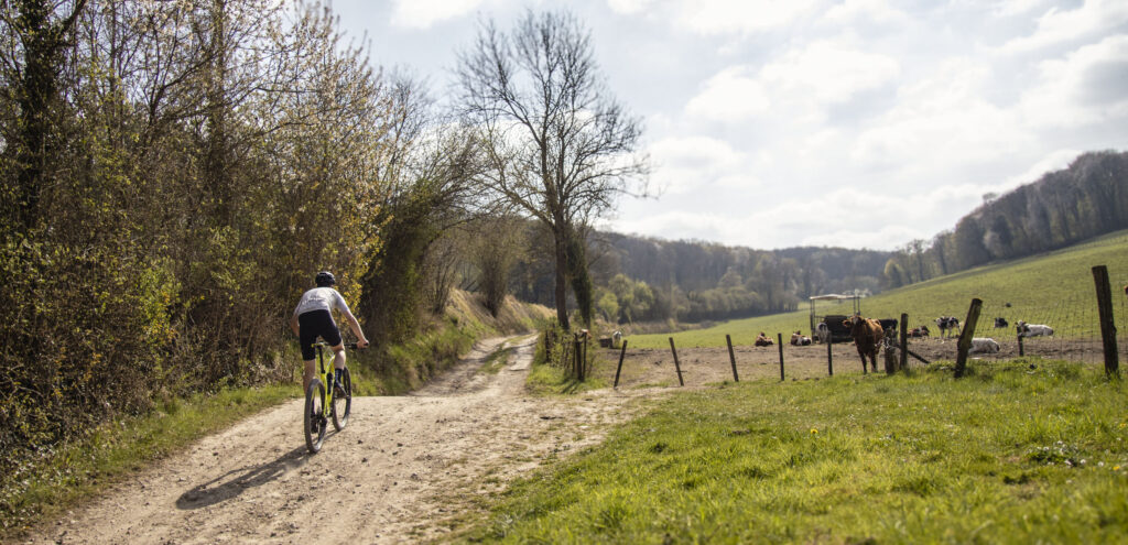 MTB beklimming Heischenweg Stokhem